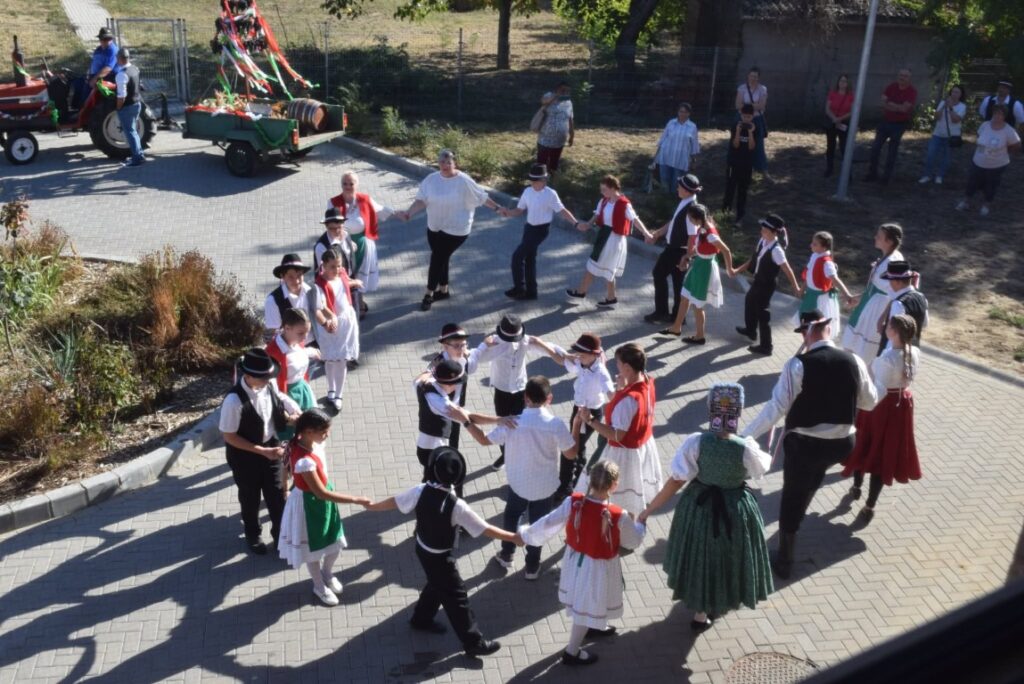 hirdi szüreti sokadalom